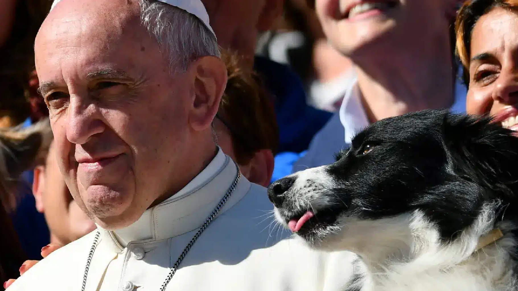 E Peccato Pregare Per Gli Animali Il veterinario contro il Papa: “Amare gli animali non è peccato