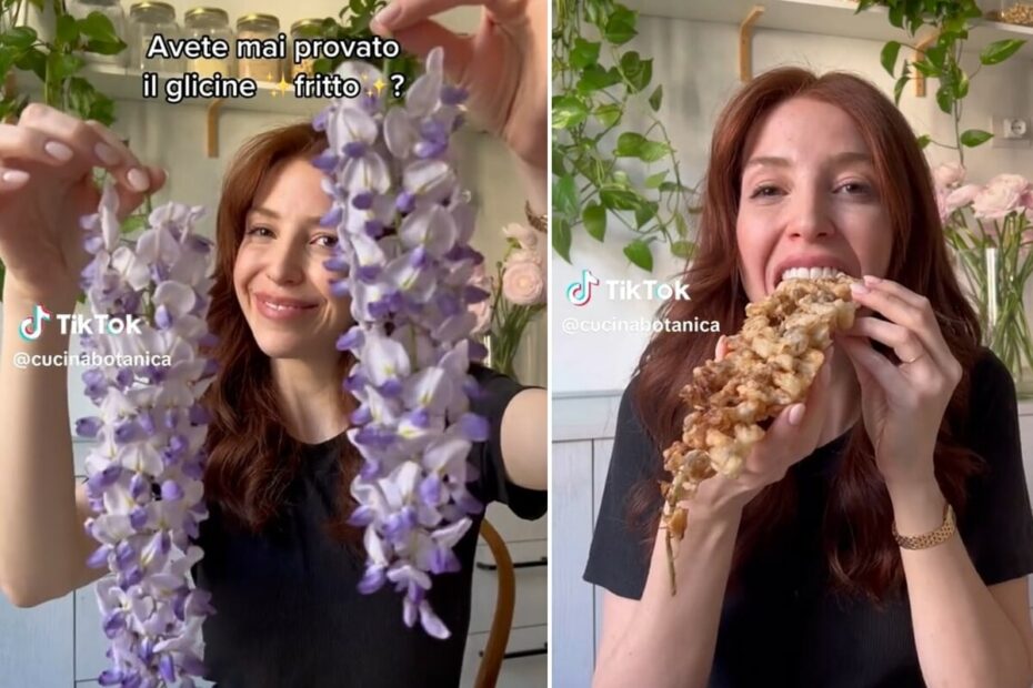 Carlotta Perego glicine fritto