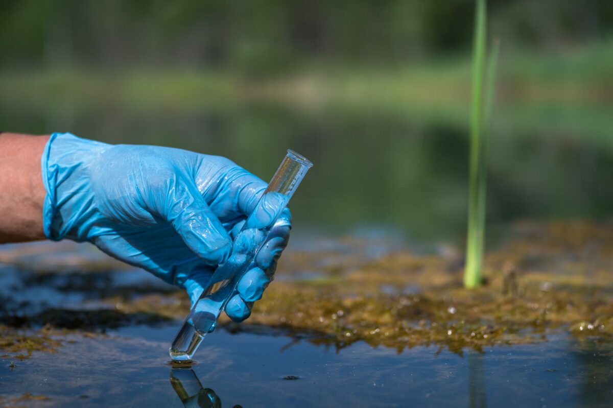 Pfas inquinamento acque Greenpeace