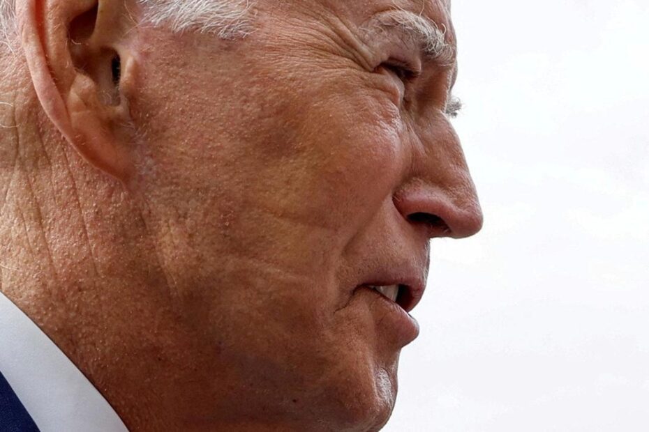 Joe Biden segni viso