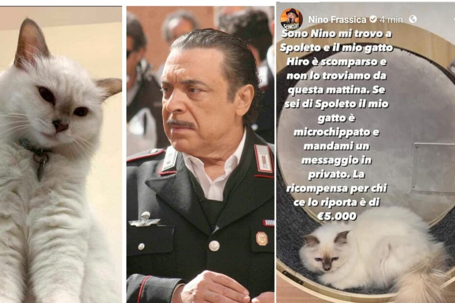 Nino Frassica gatto Hiro