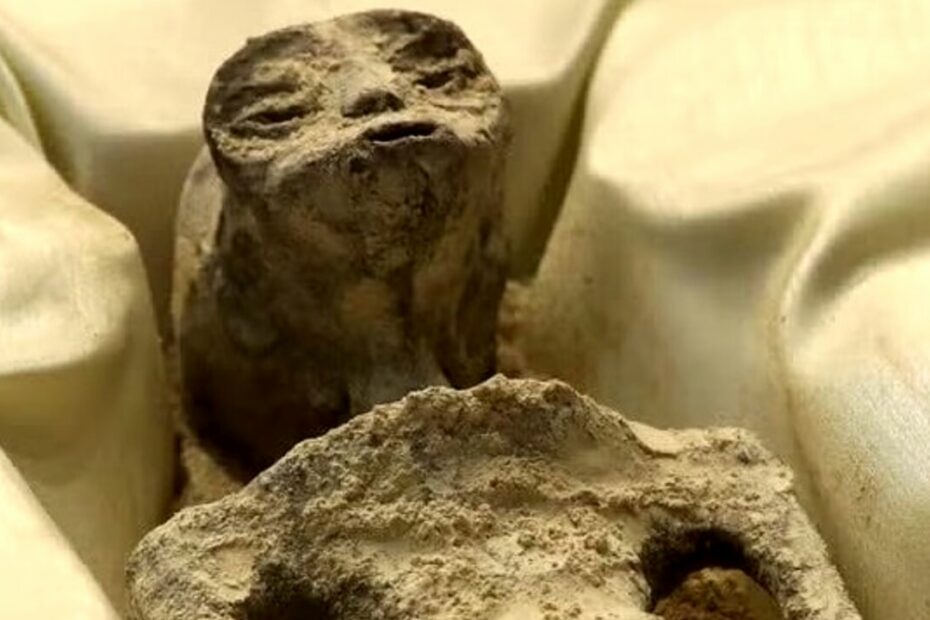 ufo extraterrestri Messico Maussan