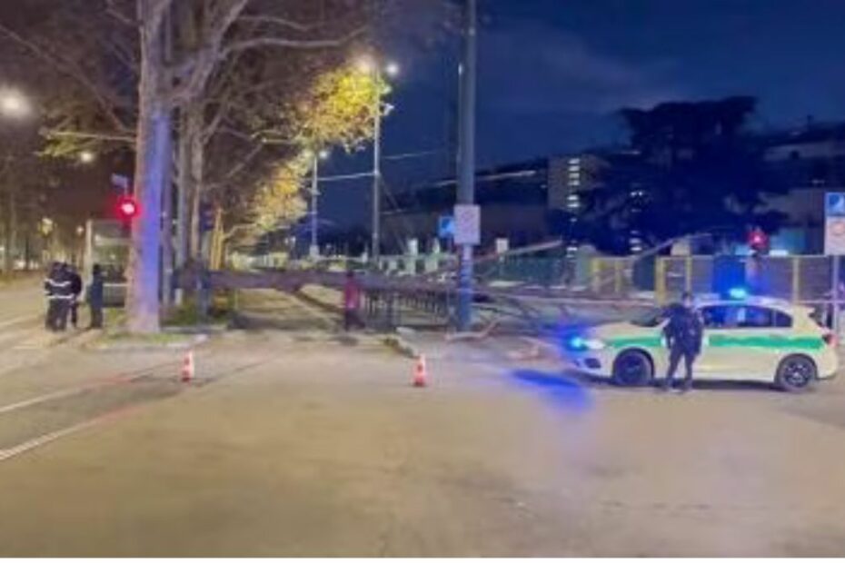 provincia Torino venti forti