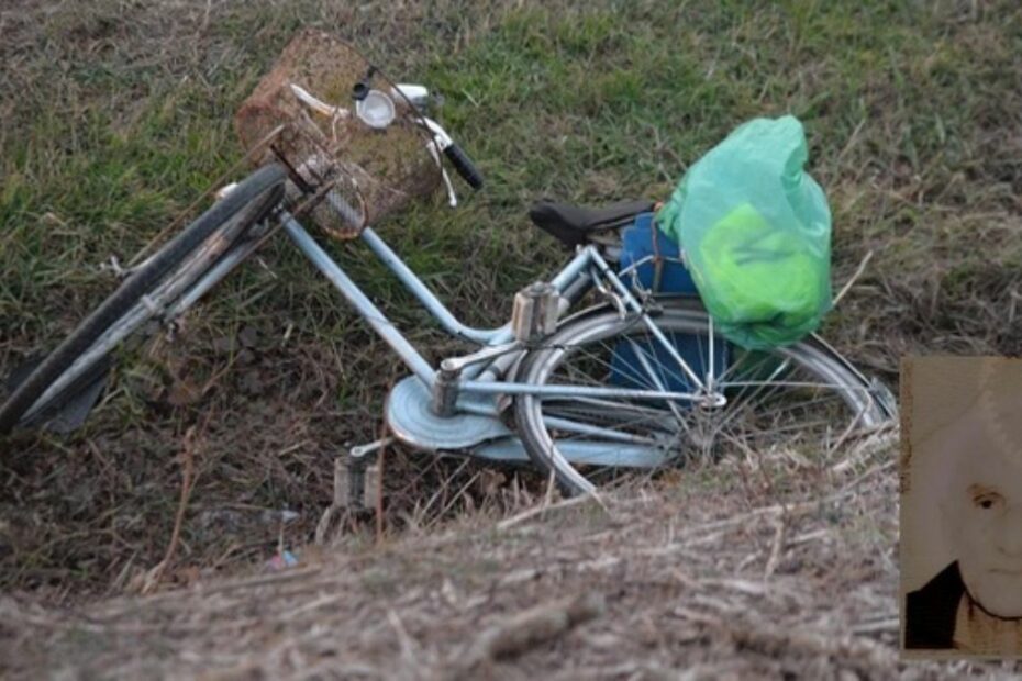 ciclista ucciso furgone Susenaga