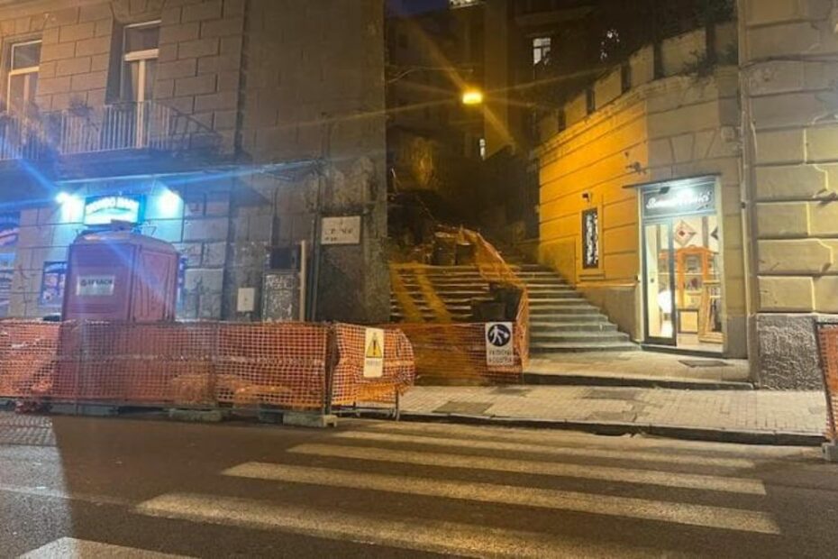 Napoli Alessia strisce pedonali