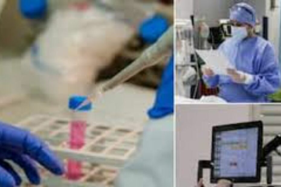 malattia X nuova pandemia