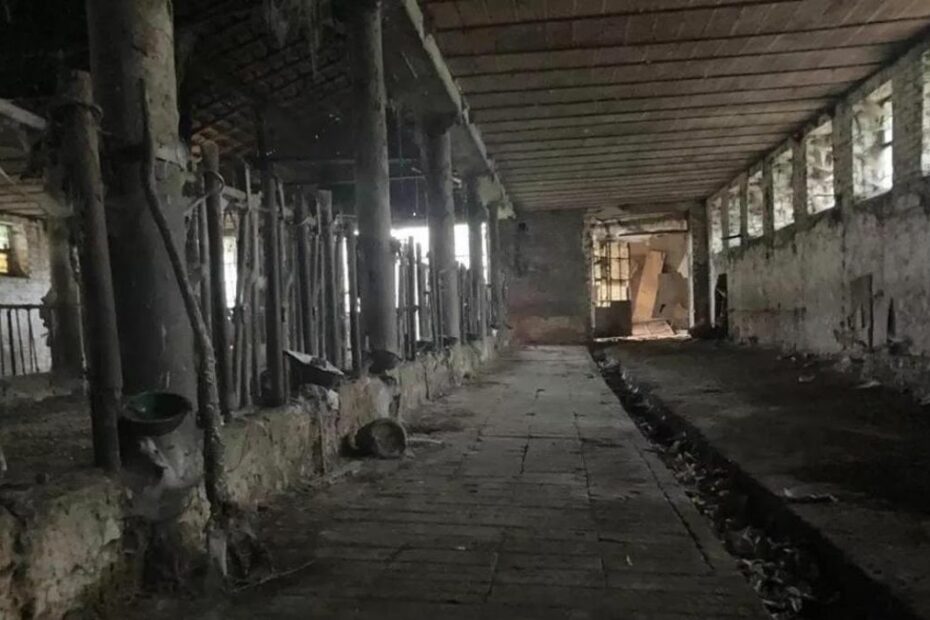 sequestrato da due 15enni