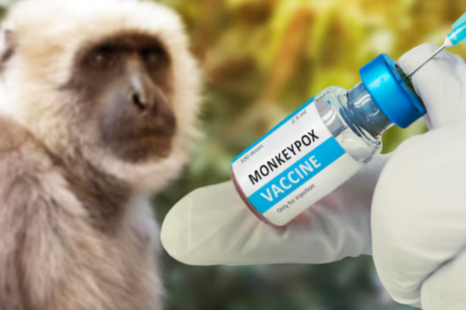 virus B scimmie mortalità