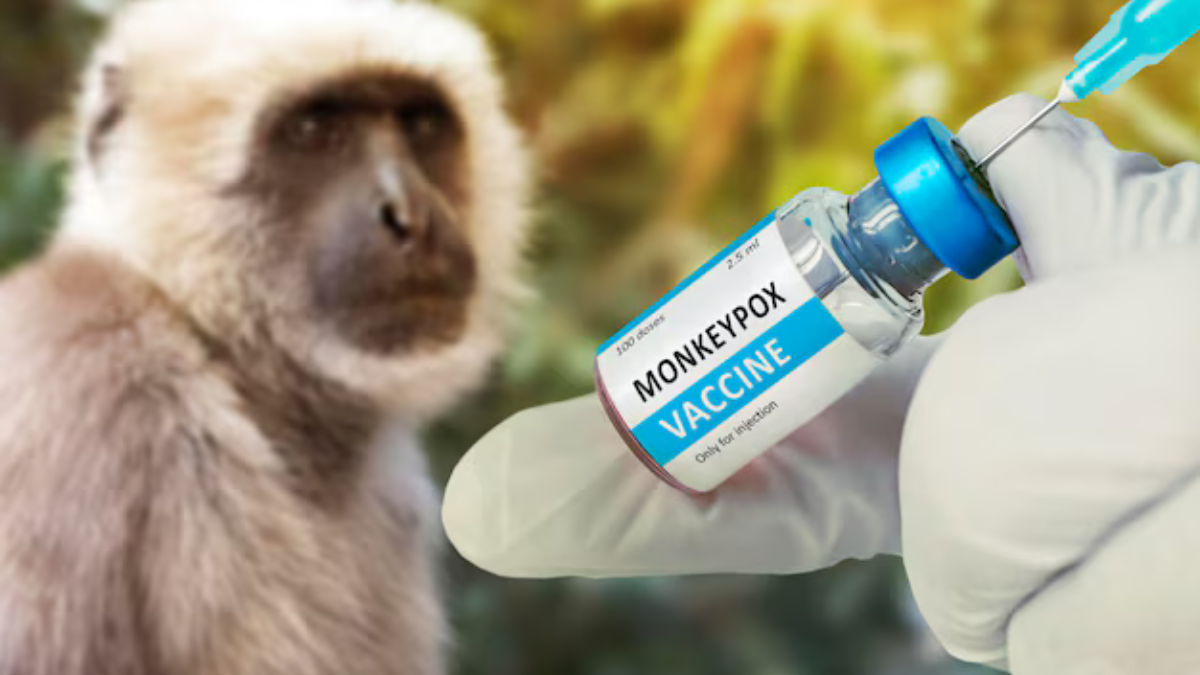 virus B scimmie mortalità