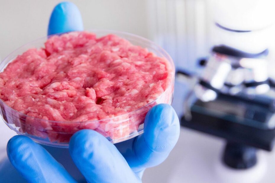 carne coltivata novità svolta