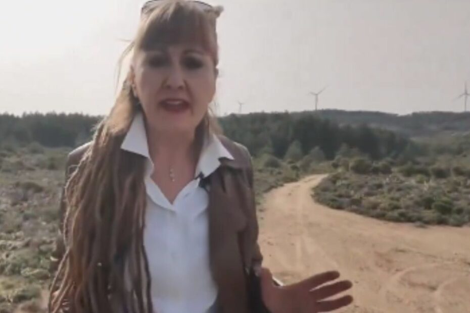 Regoli mangiano Italia green