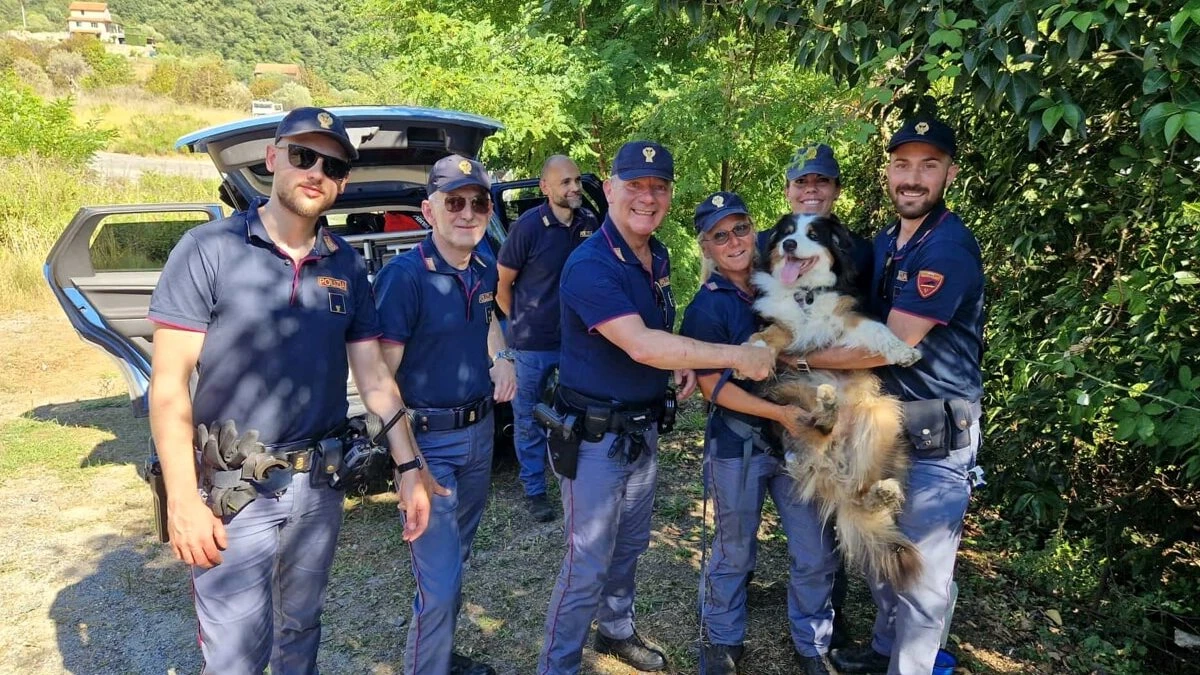 cane ponte morandi