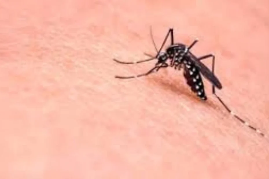 West Nile virus Italia