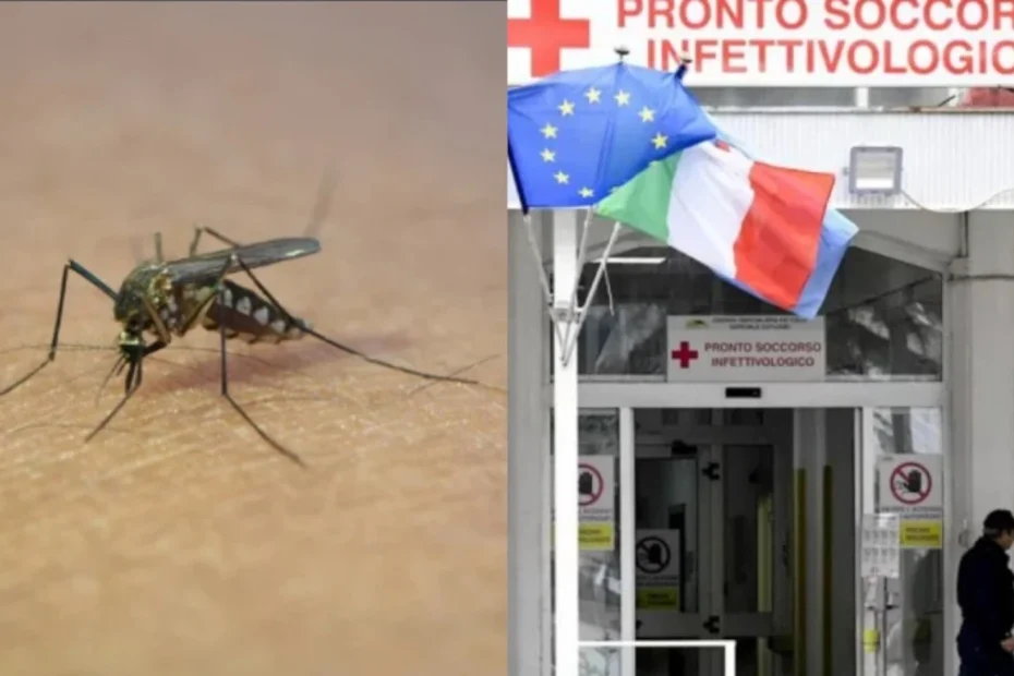 West Nile Italia focolaio