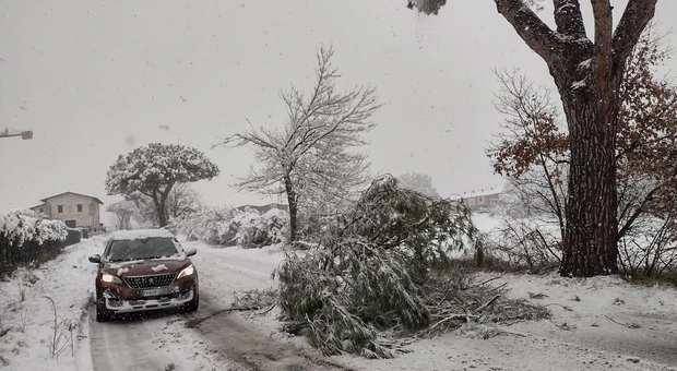 Cartello stradale che indica obbligo catene o pneumatici invernali