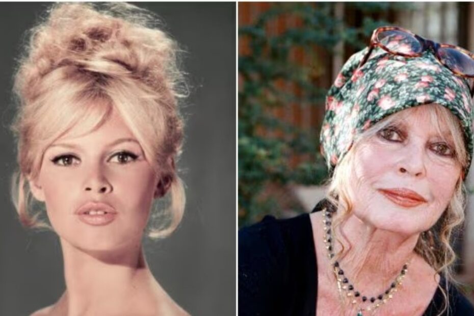 brigitte bardot ospedale come sta