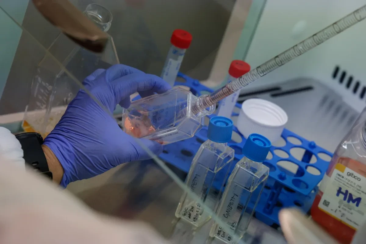 Cartello NHS e ospedali inglesi in allerta influenza