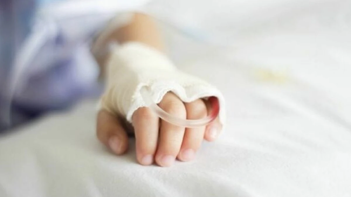 Vallecamonica, immagine del territorio