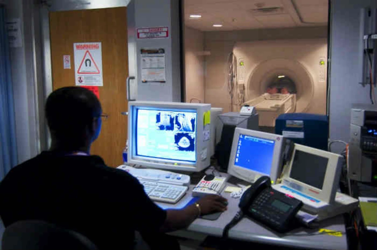 Struttura anatomica evidenziata della colonna vertebrale