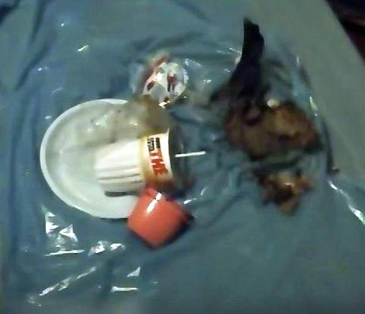 Analisi forense dei rifiuti nella villetta di Garlasco