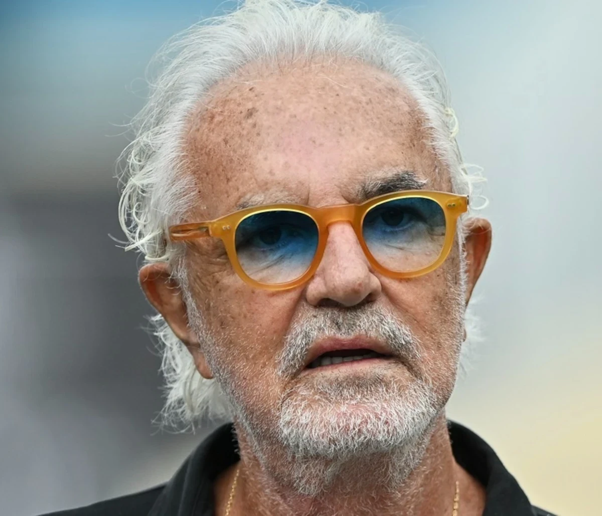 Ritratto di Flavio Briatore
