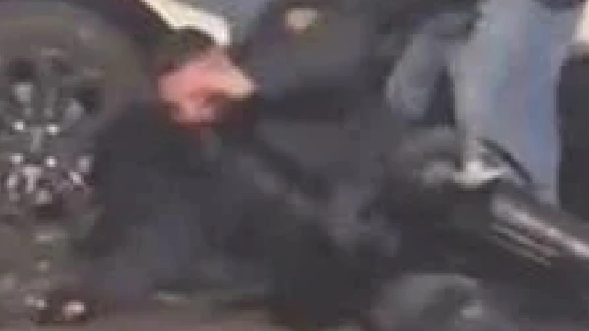 Agente della Polizia durante corteo a Torino