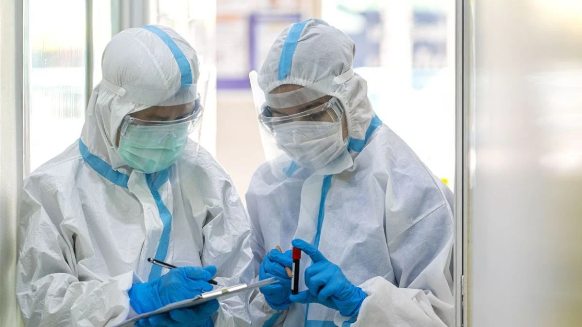 Allerta sanitaria e rischio pandemia: influenza suina, immagine di apertura