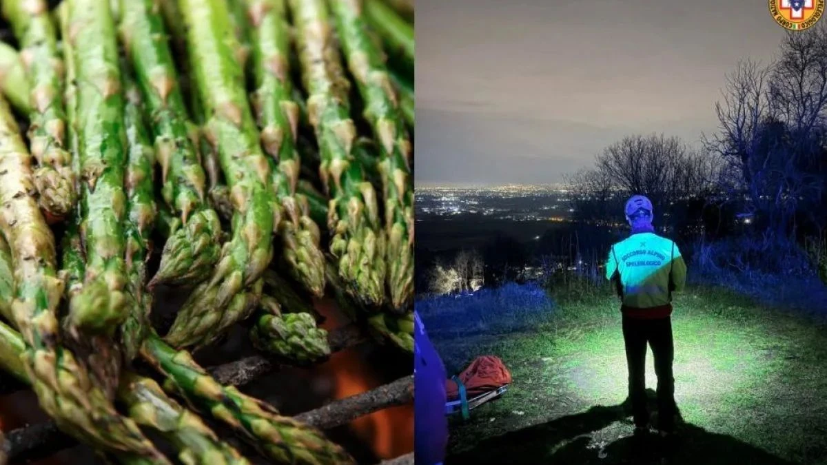 Area boschiva di Monte Sant’Angelo a Palombara, zona interessata dal secondo intervento