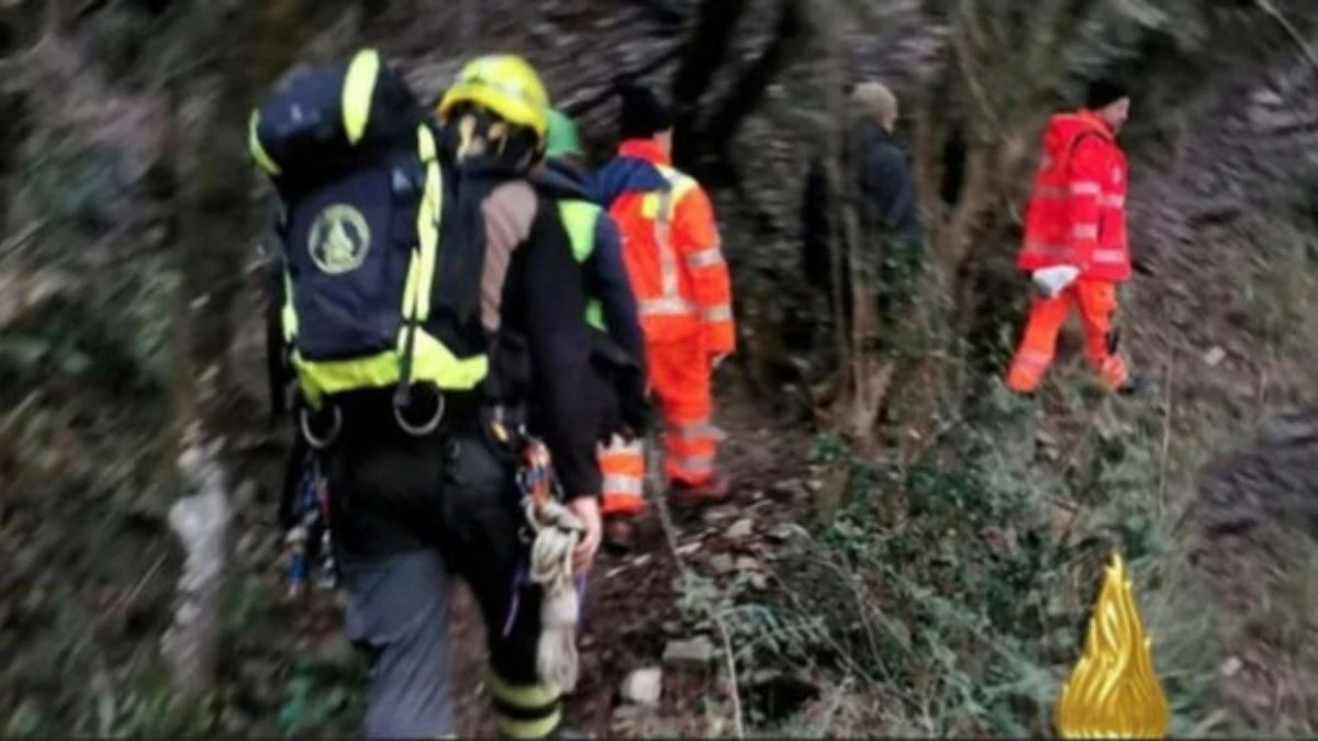Bosco nell’area di San Felice a Cancello, luogo delle ricerche durante la raccolta di asparagi selvatici