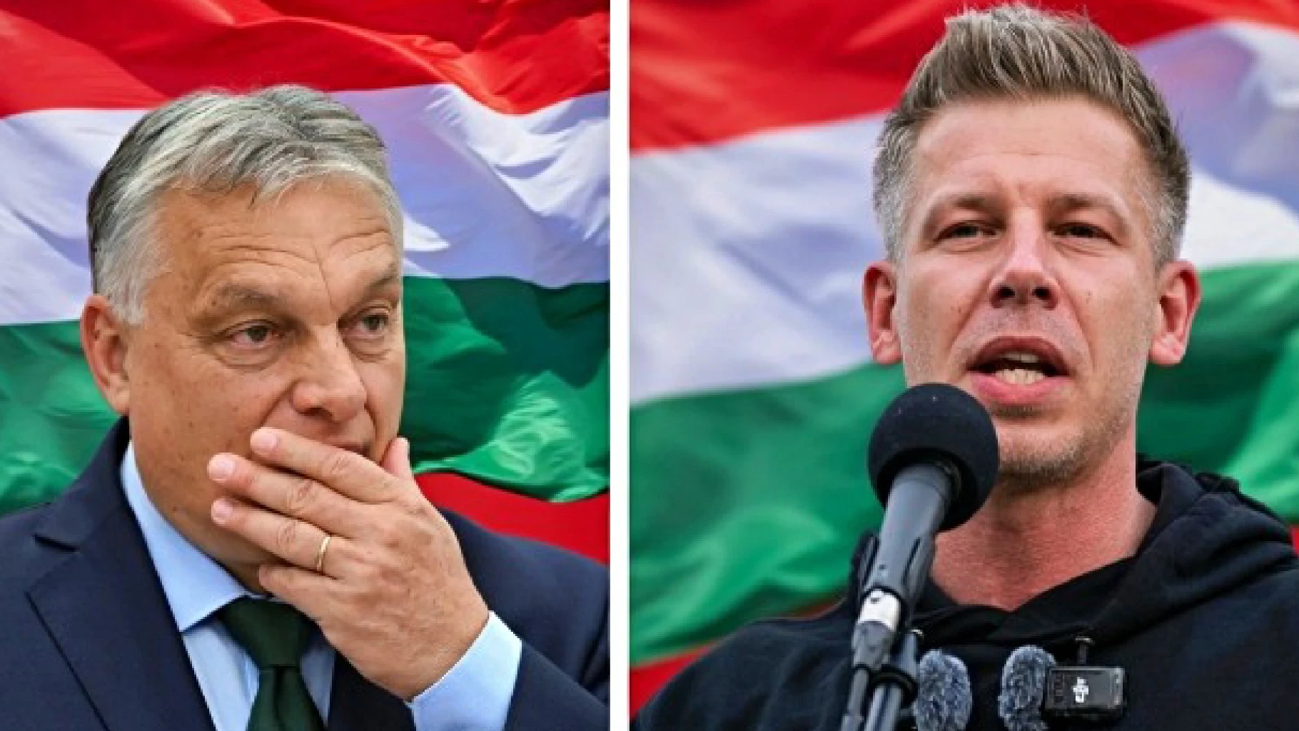 Elezioni Ungheria, la notizia è arrivata: “Abbiamo vinto!”