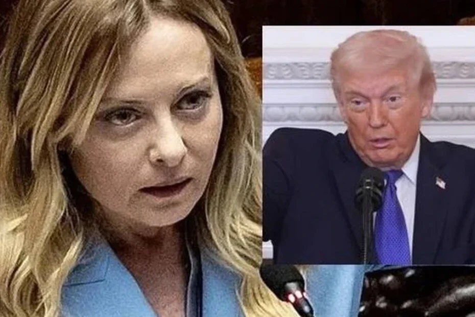 meloni trump sondaggi