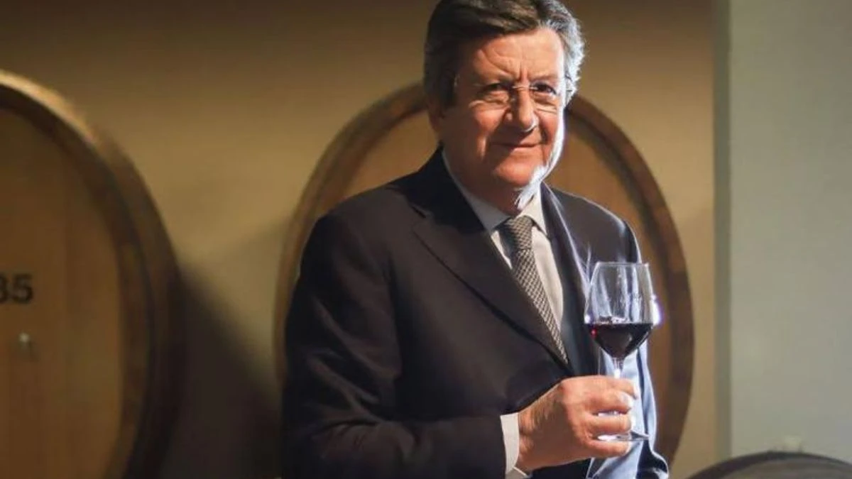 Vigneti e produzione vitivinicola
