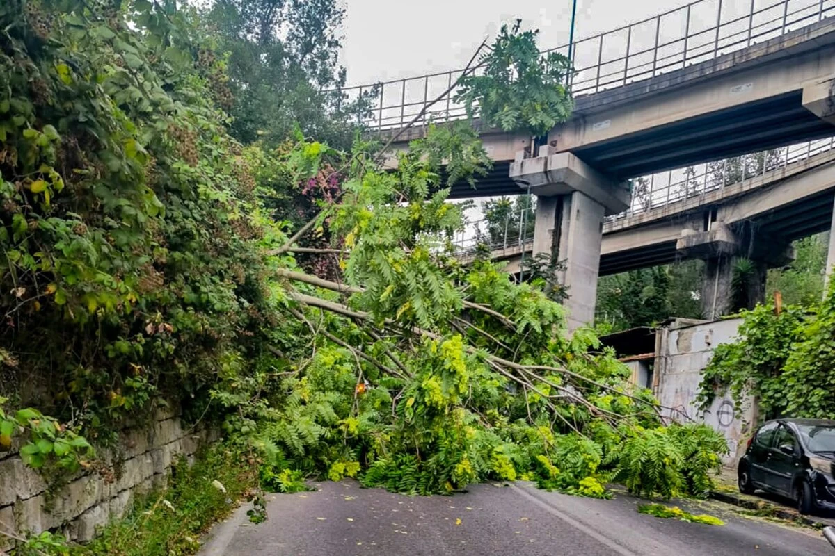 Interventi dei Vigili del Fuoco durante il maltempo in Campania