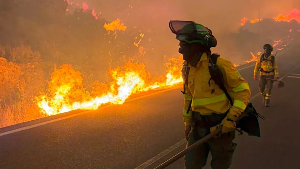 Fiamme e colonne di fumo nell'incendio di Los Gallardos, Almería